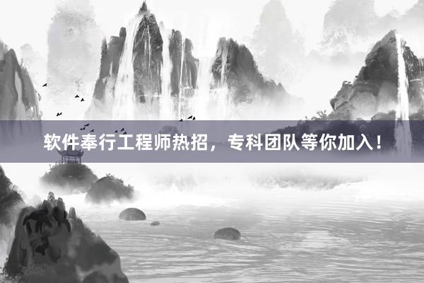 软件奉行工程师热招，专科团队等你加入！